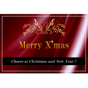 オリジナルラベル日本酒 クリスマス c005xm