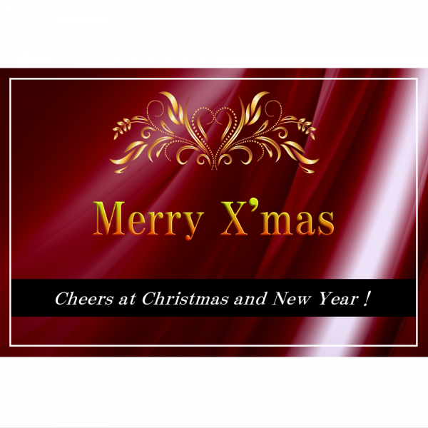オリジナルラベル日本酒 クリスマス c005xm