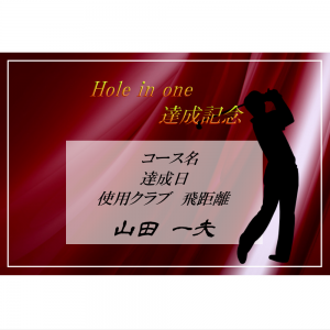 オリジナルラベル日本酒 ゴルフ ホールインワン記念 c008ho