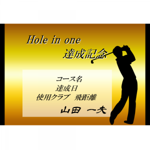 オリジナルラベル日本酒 ゴルフ ホールインワン記念 k002ho