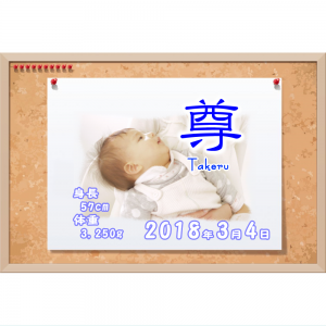 オリジナルラベル日本酒 出産祝い 誕生祝い r006nb