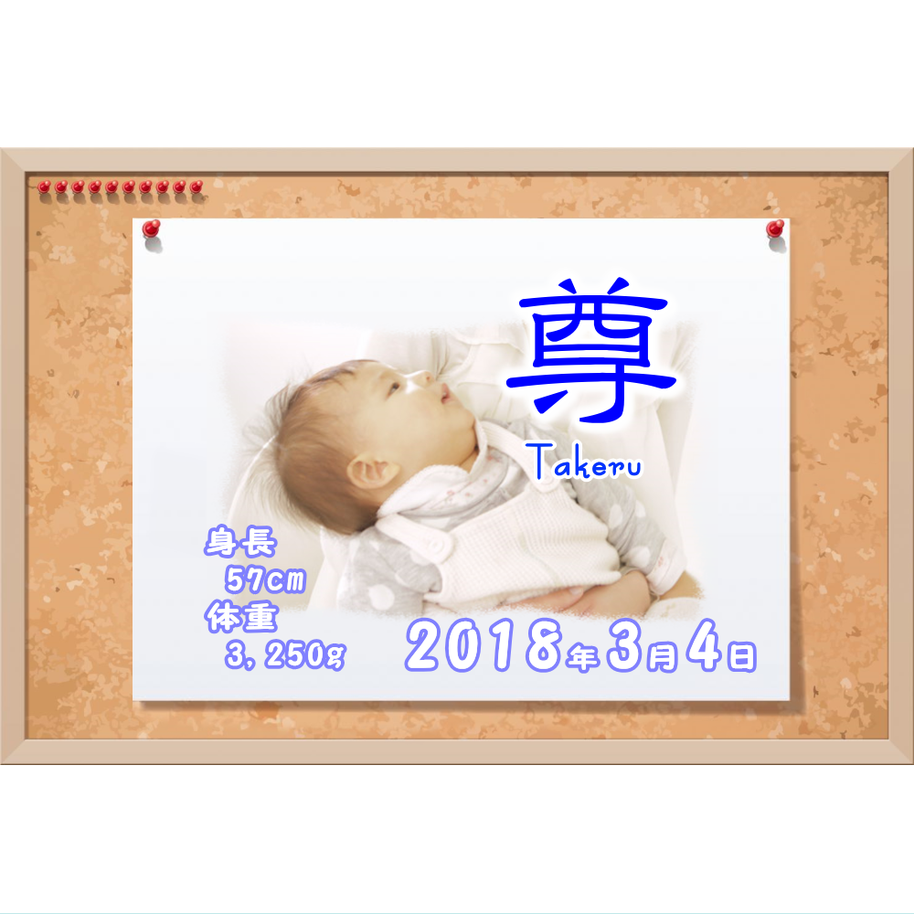 オリジナルラベル日本酒 出産祝い 誕生祝い r006nb
