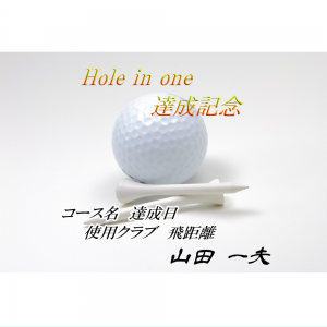 オリジナルラベル日本酒 ゴルフ ホールインワン記念 s007ho