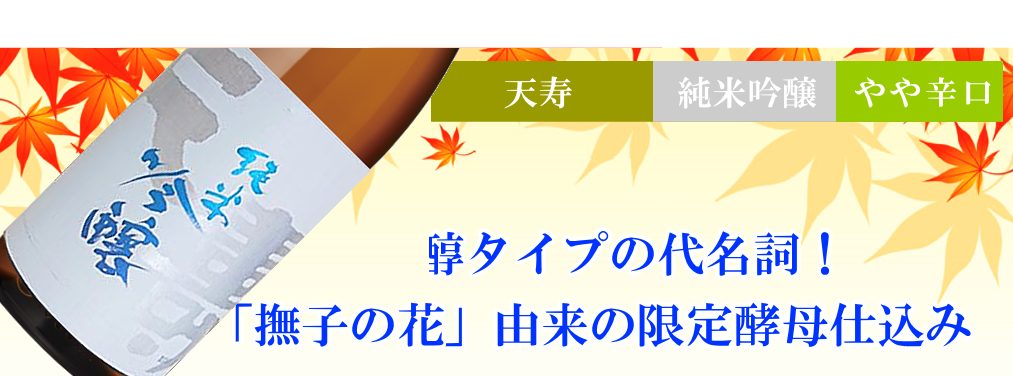 秋田地酒 ひやおろし 天寿 純米吟醸