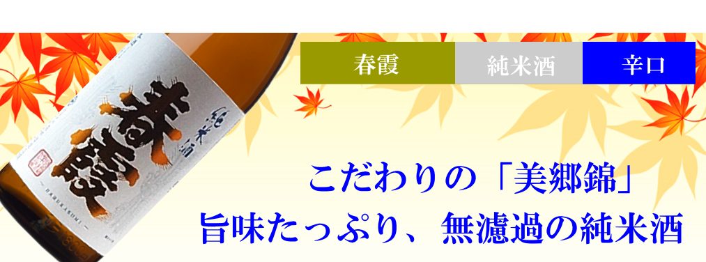秋田限定 ひやおろし 春霞 純米酒