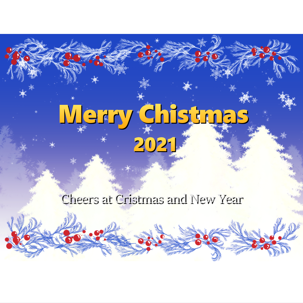 オリジナルラベル日本酒 クリスマス ad_001xm
