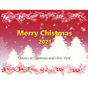 オリジナルラベル日本酒 クリスマス ad_002xm